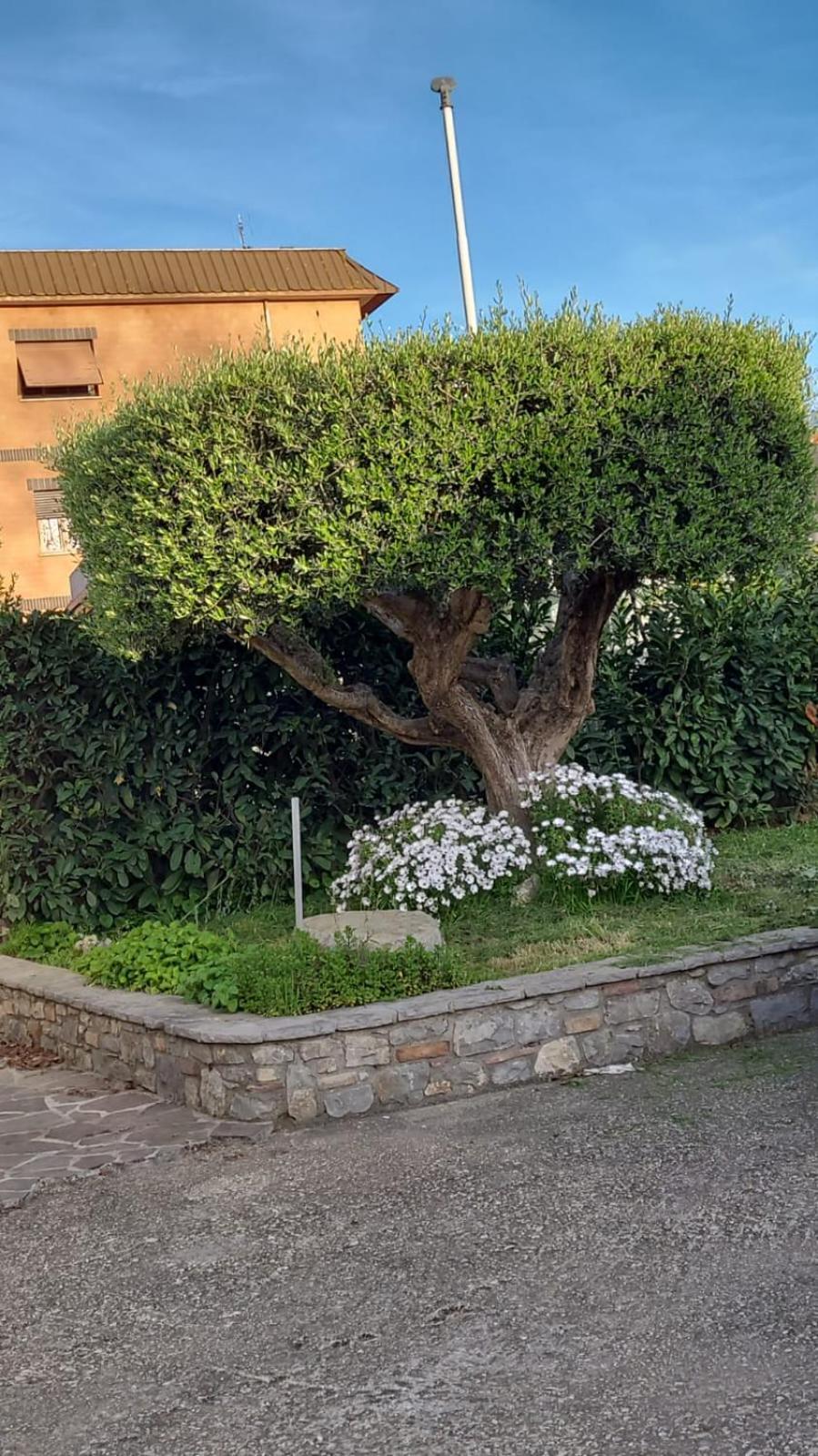 Casetta Delle Fiabe Rome Buitenkant foto